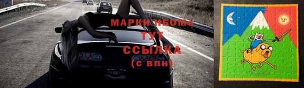 стаф Алзамай