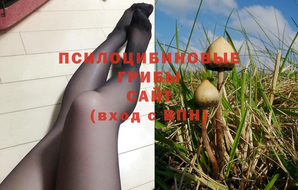 стаф Алзамай