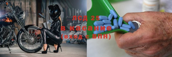стаф Алзамай