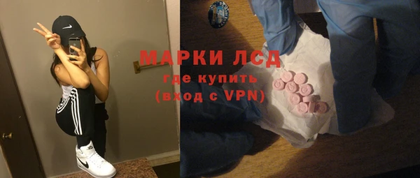 СК Пересвет