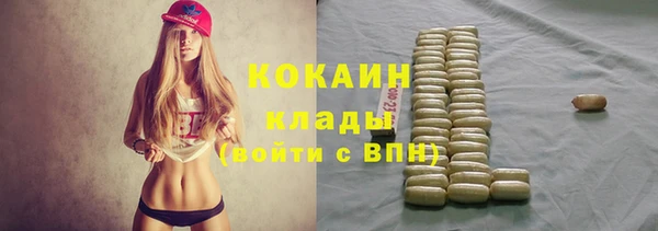стаф Алзамай