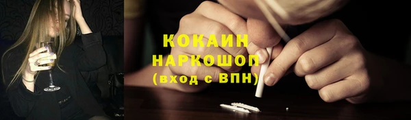 стаф Алзамай