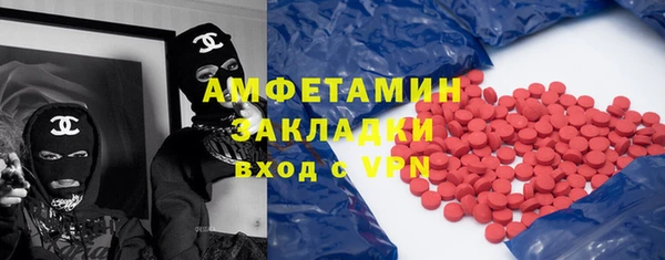 стаф Алзамай